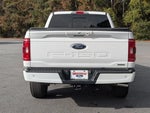 2023 F-150 Thumbnail 7