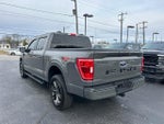 2021 F-150 Thumbnail 12