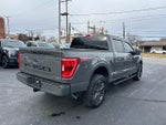 2021 F-150 Thumbnail 16