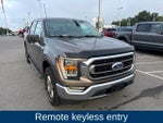 2021 F-150 Thumbnail 13