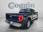 2021 F-150 Thumbnail 3