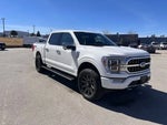 2021 F-150 Thumbnail 1