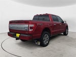 2021 F-150 Thumbnail 5