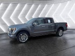 2021 F-150 Thumbnail 3