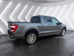 2021 F-150 Thumbnail 5