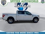 2021 F-150 Thumbnail 10