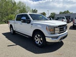 2021 F-150 Thumbnail 11