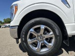 2021 F-150 Thumbnail 20