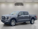 2021 F-150 Thumbnail 1