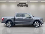2021 F-150 Thumbnail 7