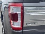 2021 F-150 Thumbnail 9