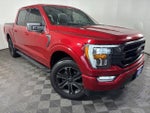 2021 F-150 Thumbnail 2