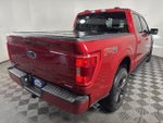 2021 F-150 Thumbnail 11