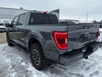 2021 F-150 Thumbnail 2