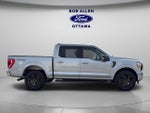 2021 F-150 Thumbnail 13