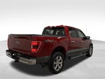 2021 F-150 Thumbnail 8