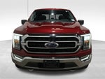 2021 F-150 Thumbnail 17