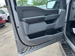 2021 F-150 Thumbnail 10