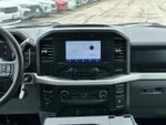 2021 F-150 Thumbnail 14