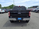 2021 F-150 Thumbnail 5