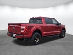 2021 F-150 Thumbnail 4