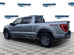 2022 F-150 Thumbnail 7