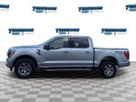 2022 F-150 Thumbnail 8