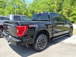 2022 F-150 Thumbnail 2