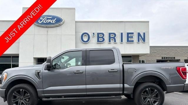 Preowned 2022 Ford F-150 Platinum for Sale