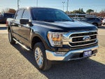 2022 F-150 Thumbnail 4