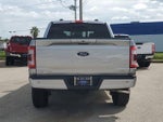 2022 F-150 Thumbnail 5