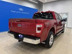 2022 F-150 Thumbnail 8