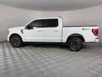2022 F-150 Thumbnail 4