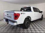 2022 F-150 Thumbnail 7