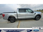 2022 F-150 Thumbnail 11