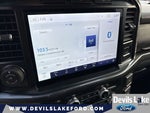 2022 F-150 Thumbnail 21