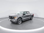 2022 F-150 Thumbnail 4