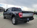 2023 F-150 Thumbnail 5