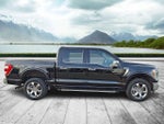 2023 F-150 Thumbnail 7