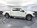 2023 F-150 Thumbnail 4
