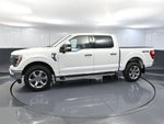 2023 F-150 Thumbnail 12