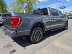 2023 F-150 Thumbnail 4