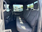 2023 F-150 Thumbnail 18