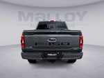 2023 F-150 Thumbnail 4
