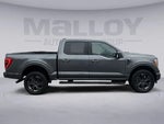 2023 F-150 Thumbnail 6