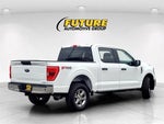 2023 F-150 Thumbnail 4