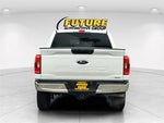 2023 F-150 Thumbnail 5