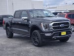 2023 F-150 Thumbnail 3