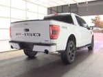 2023 F-150 Thumbnail 4