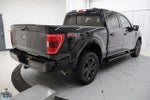 2023 F-150 Thumbnail 2